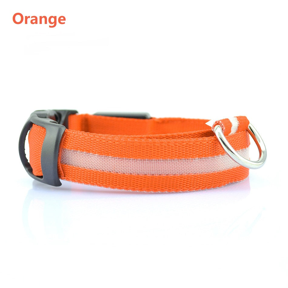 Safety Dog LED Collar – the perfect blend of style and security for your furry friend!