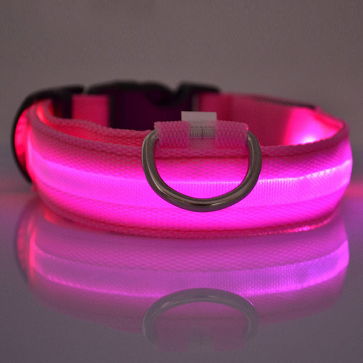 Safety Dog LED Collar – the perfect blend of style and security for your furry friend!
