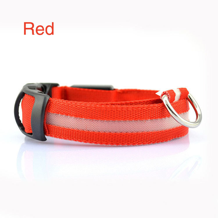 Safety Dog LED Collar – the perfect blend of style and security for your furry friend!