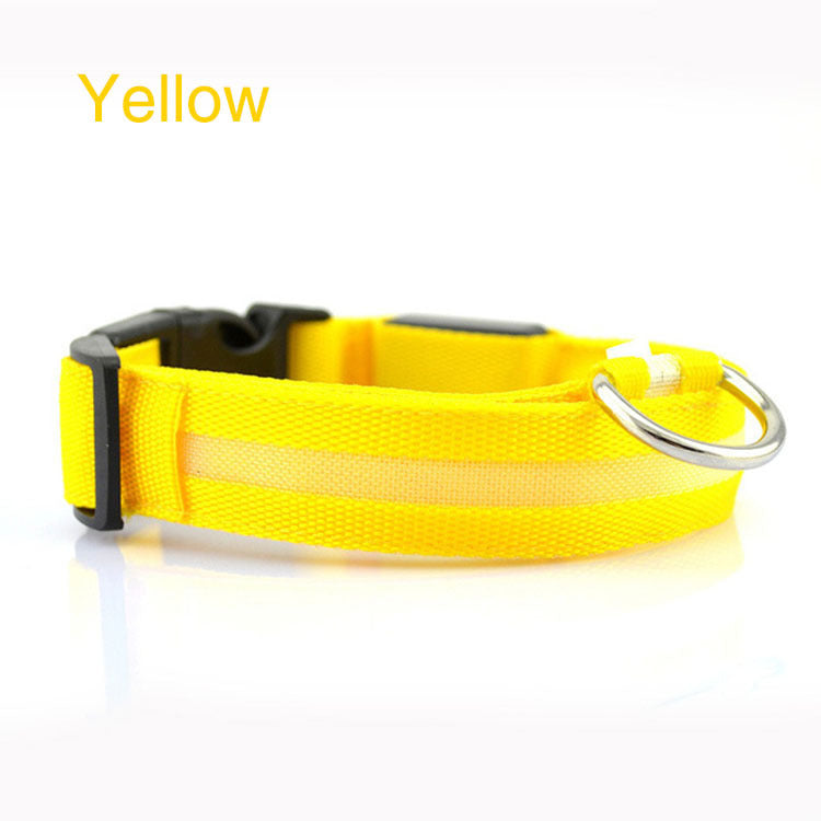 Safety Dog LED Collar – the perfect blend of style and security for your furry friend!