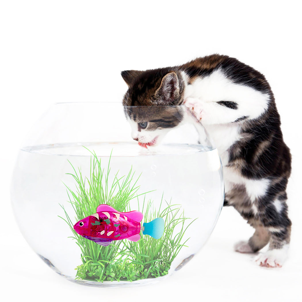 Electronic Cat Toys Featuring Pet Fish with LED Light and Grass Elements